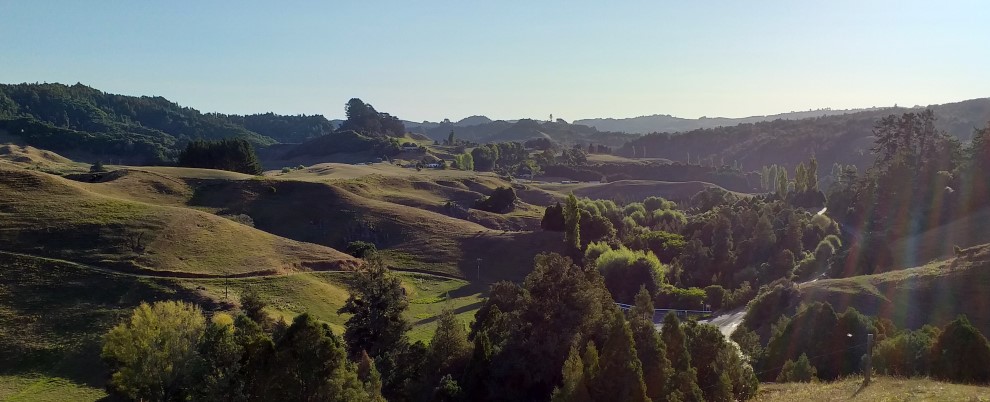 Beautiful New Zealand nature from the ziplines at Waitomo Caves, close to Hamilton City